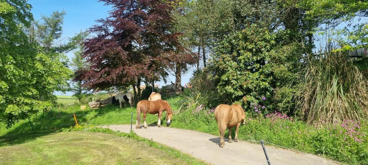 No 4 Trelawney Apartment - Onsite Bar - Restaurant - Horse Riding Menheniot Exterior photo